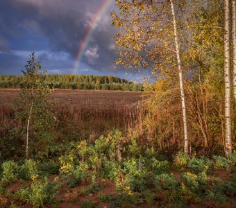 Осеняя радуга