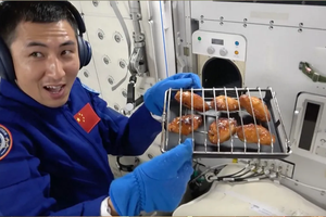 Тайконавты сделали шашлык в космосе