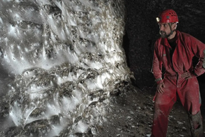 Обнаружена самая гигантская в мире паутина: тут живет колония из ста тысяч пауков