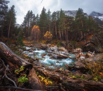 Золотая осень в горах КЧР