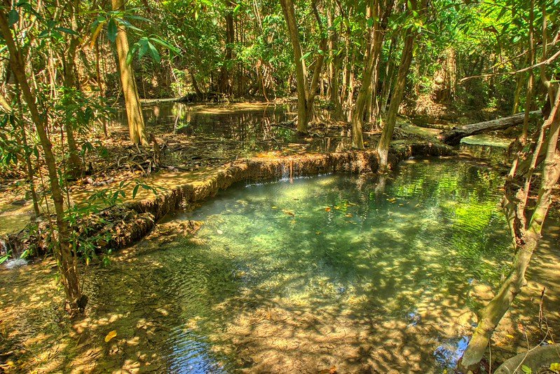 Турист блуждал по тайским джунглям две недели, питаясь насекомыми и корой