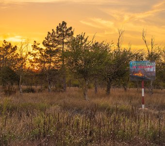 Берегите лес от пожара!