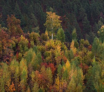 Осень в Жигулевских горах
