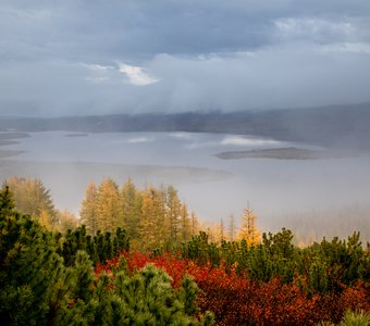 на смену осени