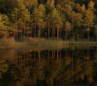 Бучкино озеро