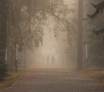 Однажды утром