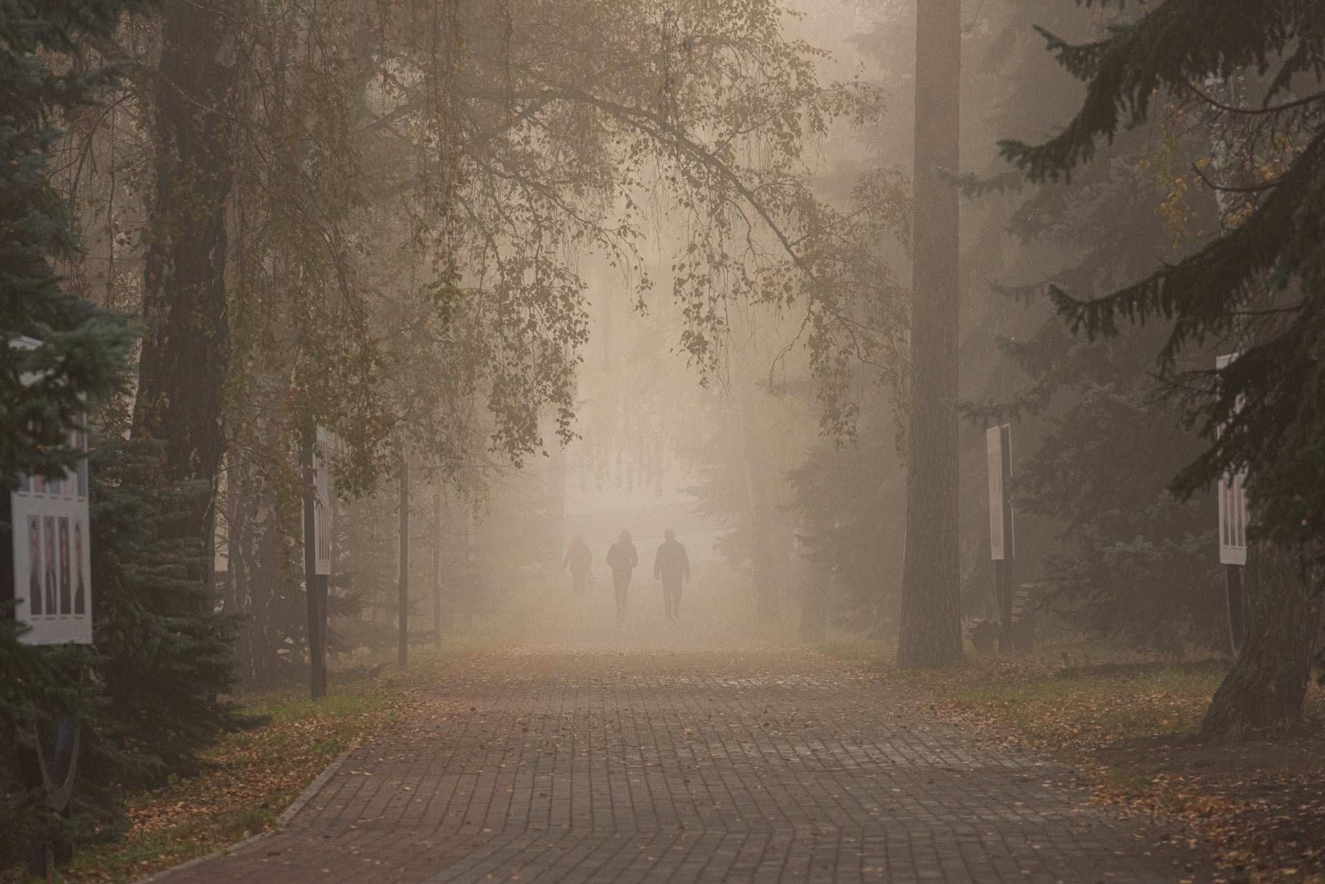 Однажды утром