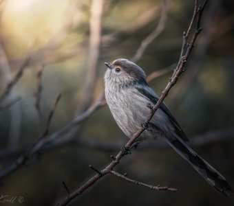 ...и уж зима не за горами