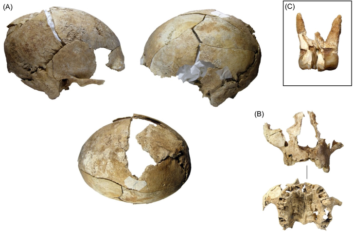 Фото: Santiago D. Domínguez-Solera