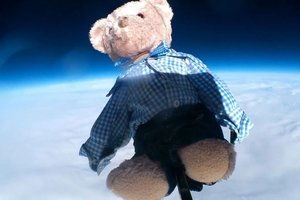 В Англии ищут медведя, упавшего из космоса