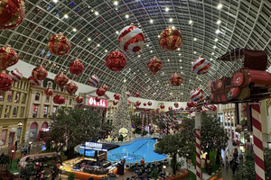 450 новогодних елок: как готовятся к Новому году в Москве