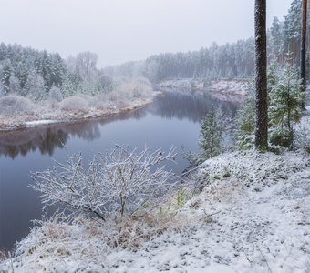 Под ноябрьским снегом