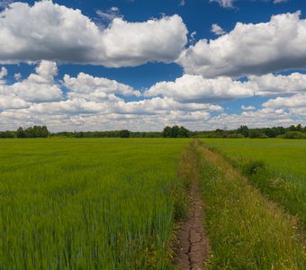 Где-то в Нижегородской области