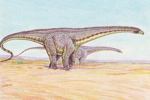 Пятнистый диплодок? Динозавры оказались ярче, чем мы думали