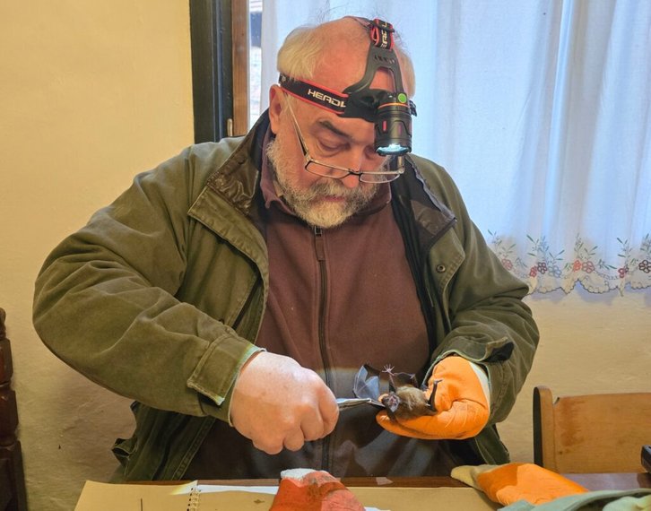 Фото: Sokobanjsko ekološko društvo