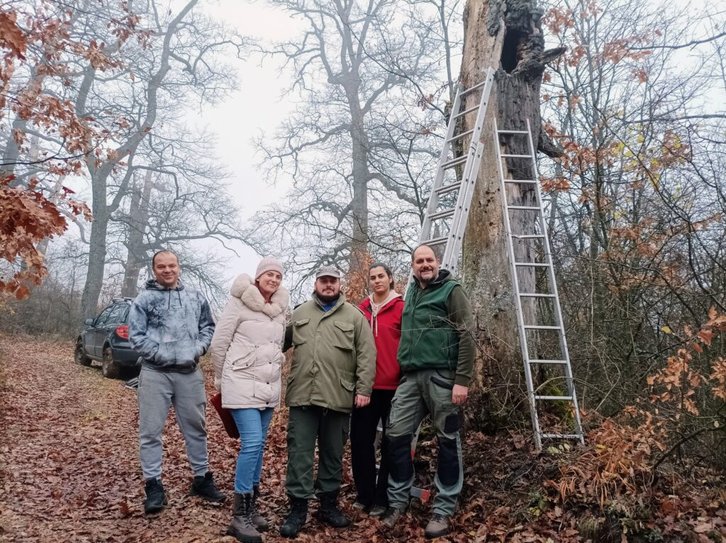 Фото: Sokobanjsko ekološko društvo