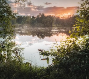 пруд в лучах заката