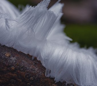 Ледяные волосы