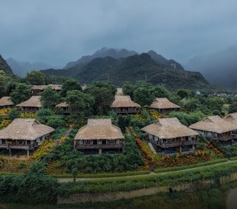 Туманным утром