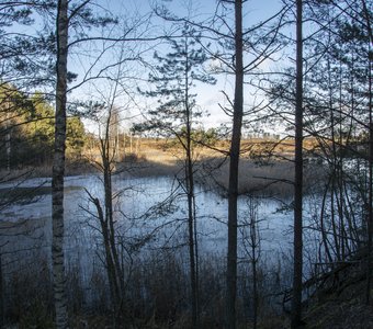 Заброшенный карьер