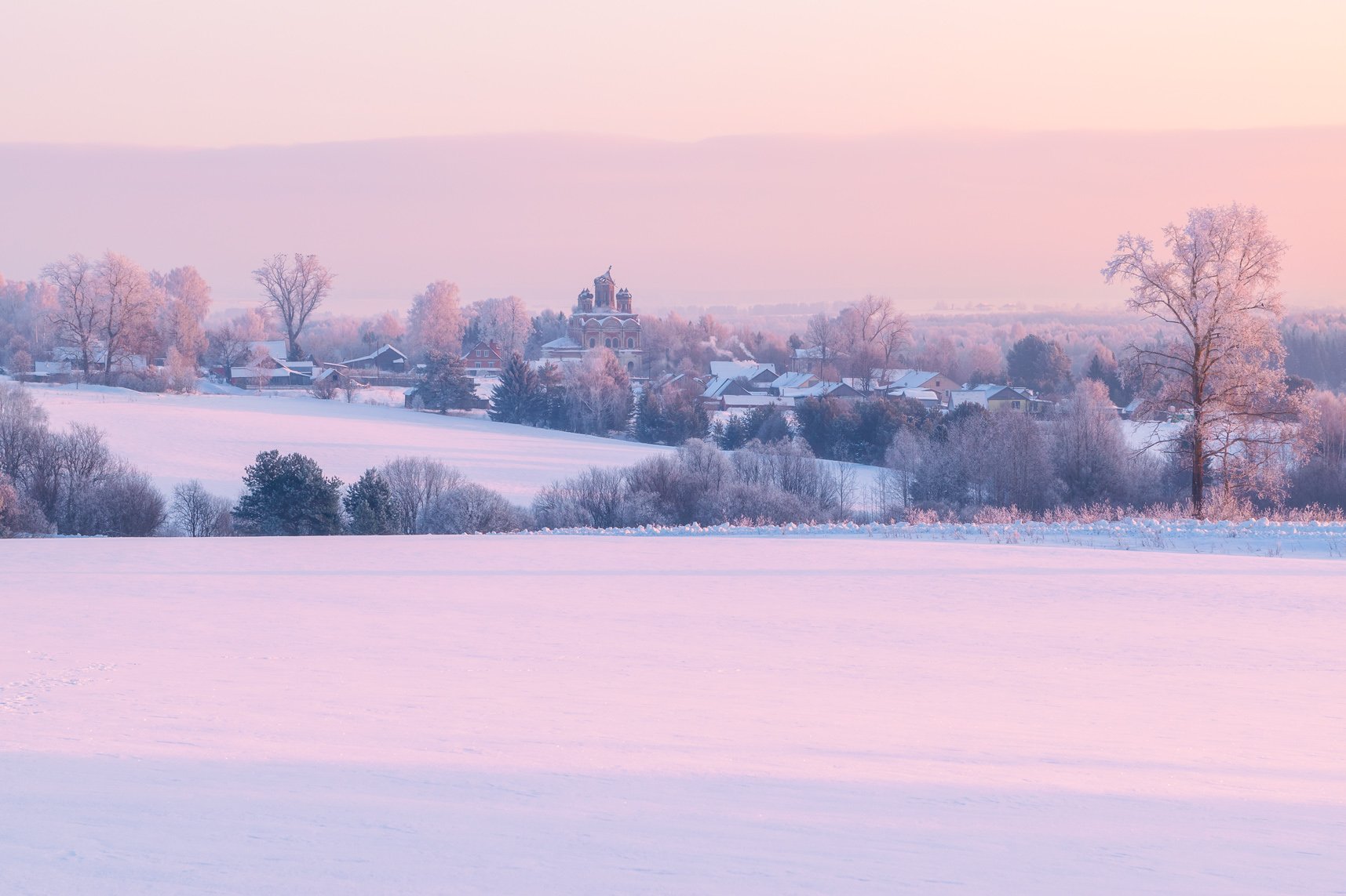 Нежно-розовый свет морозного вечера