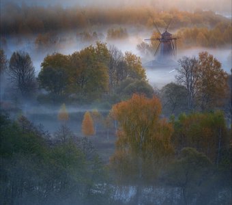 Туманное утро