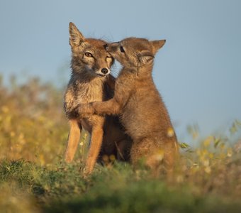 Понять и простить
