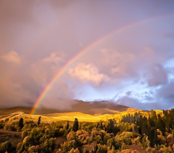 Нечаянная радость