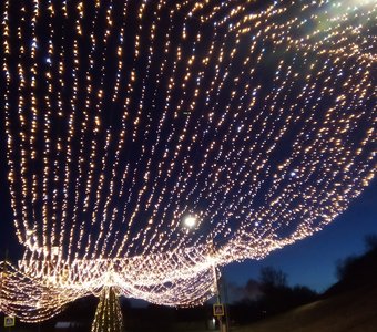 Елка у Соборной горы