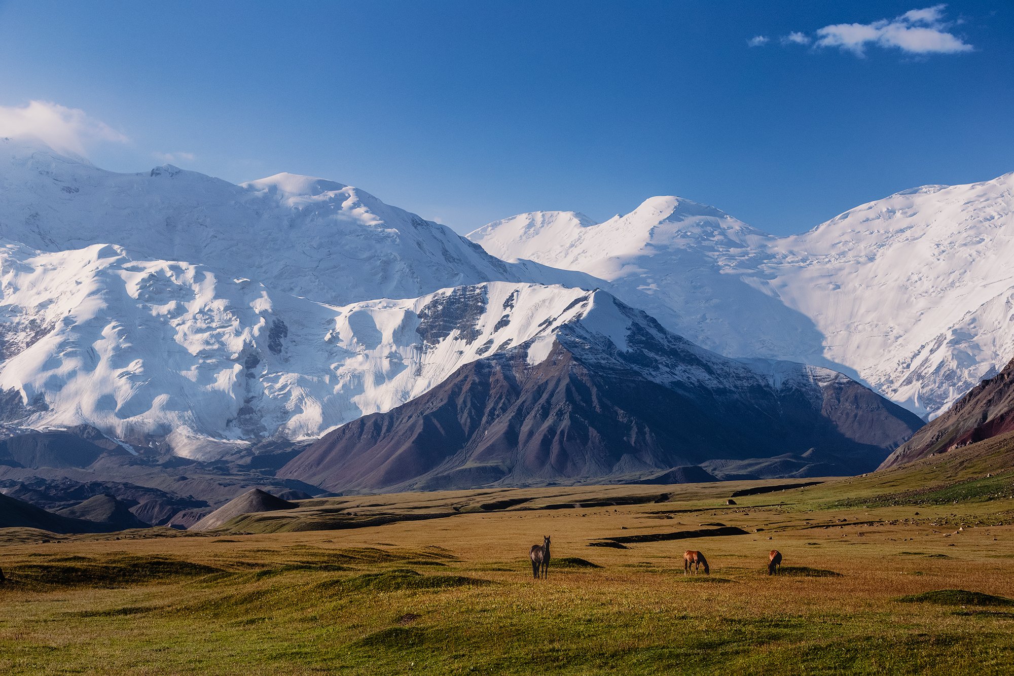 Памирская пастораль