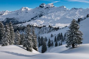 Туристы, пропавшие у горы Ослянка, найдены