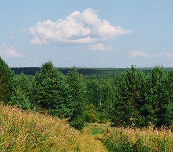 С чего начинается Родина