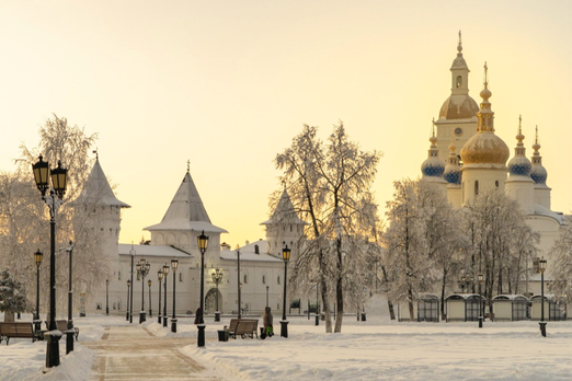 Представителям туризма от КНР презентовали маршрут по Тюменской области