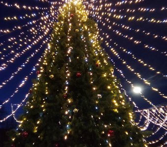 Елка у Серпуховского кремля