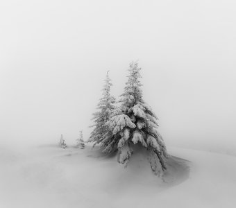 Белое безмолвие