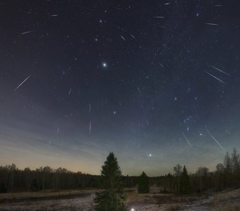Космические гости
