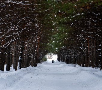 Сосновоборск, Красноярский край