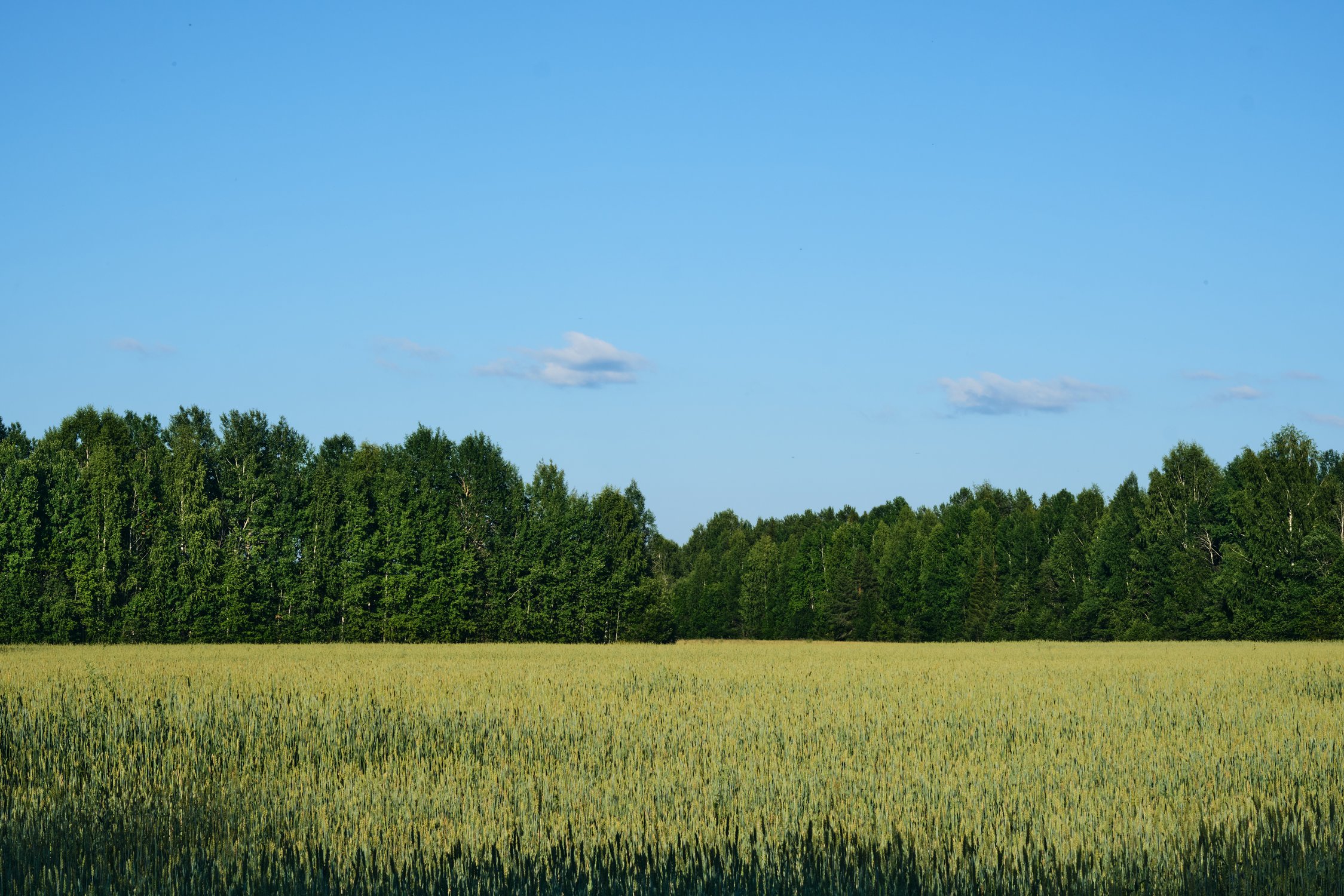 Край наш родной далекий