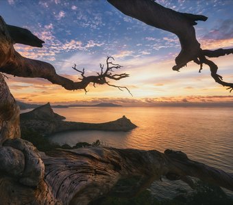 Новый Свет. Крым