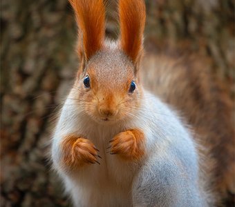 Иди обниму!