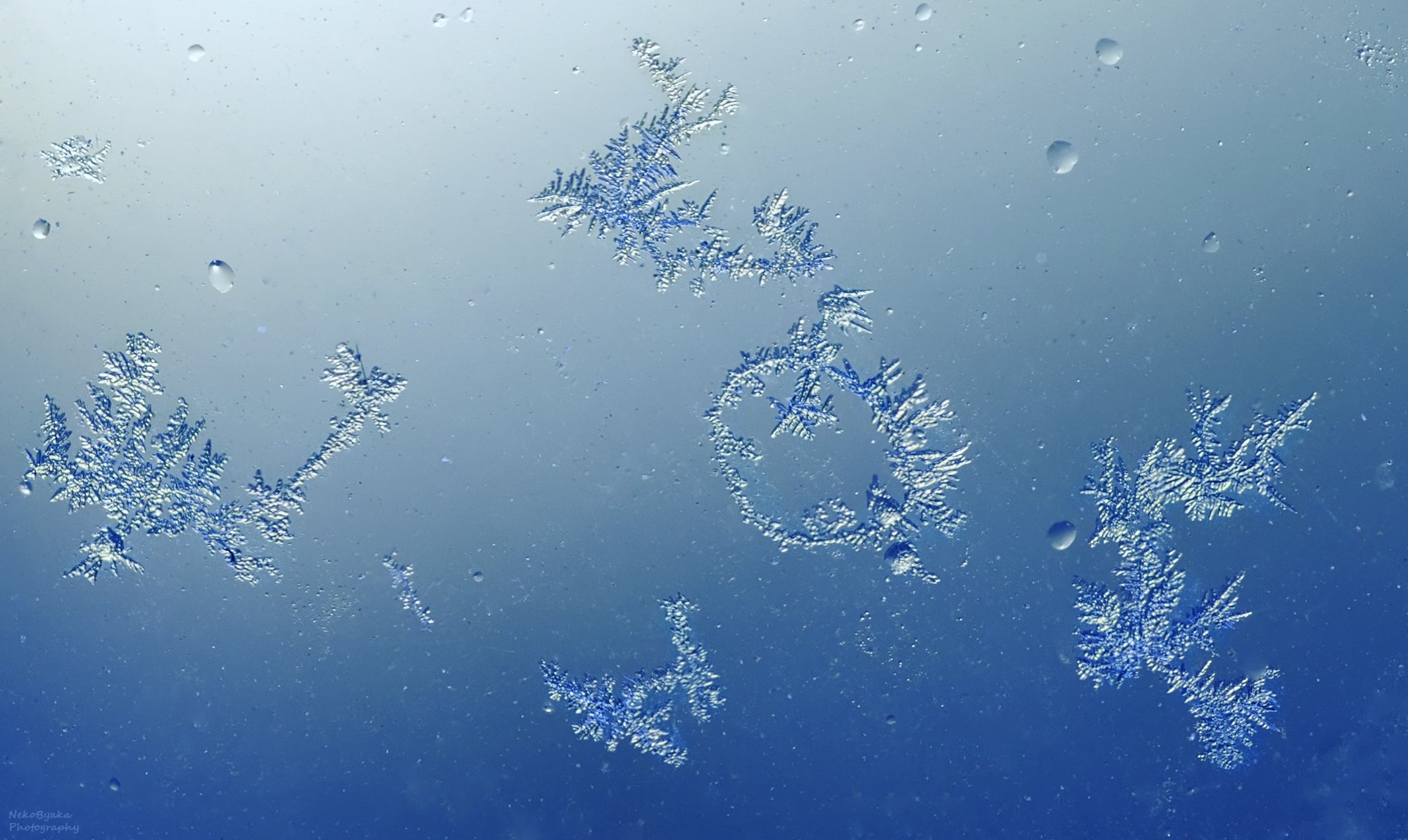 Ледяные письмена