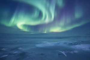 В Териберке открылся новый бутик-отель. В России — бум арктического туризма и арктической кухни