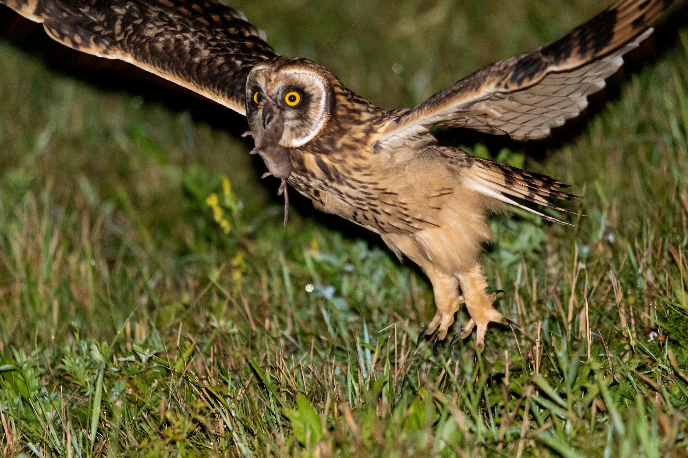 Хорошая была охота!