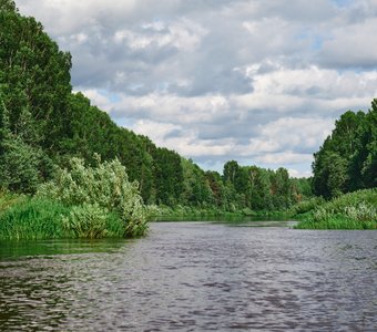 Попутным ветром мчится день