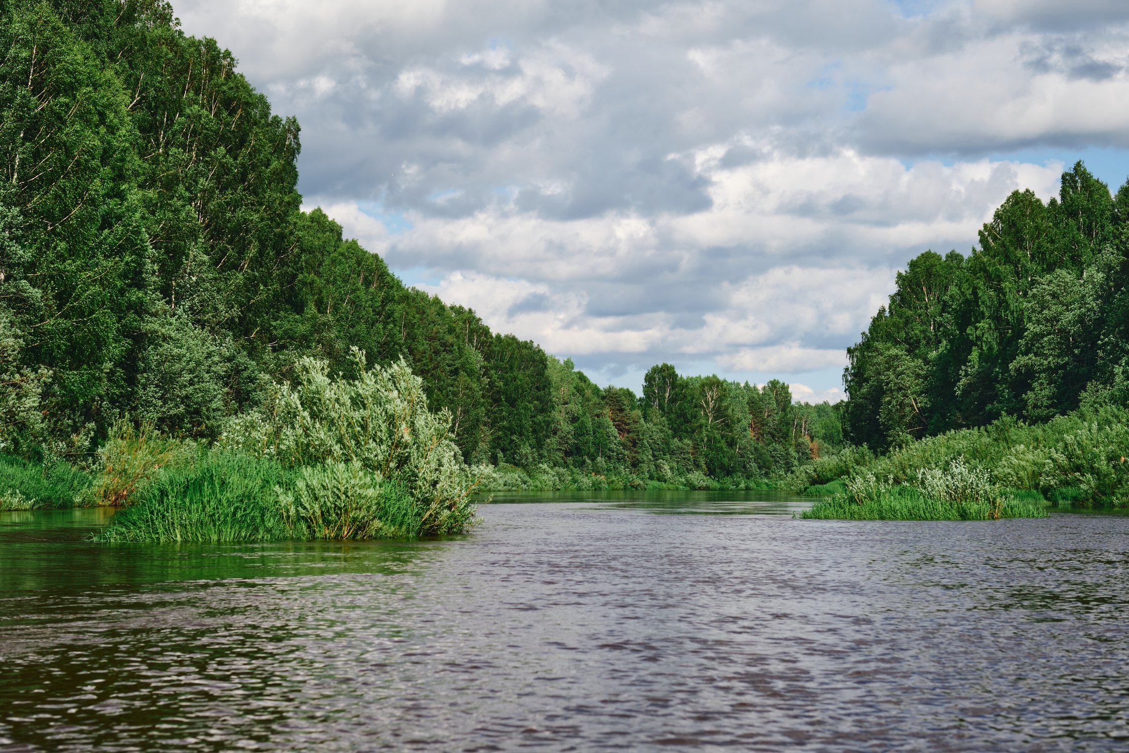 Попутным ветром мчится день