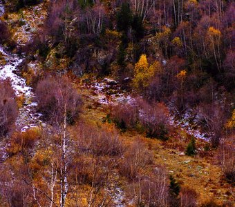 осенью в лесу