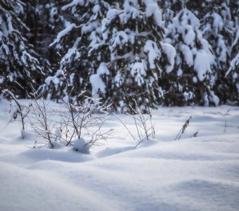 Зимний день