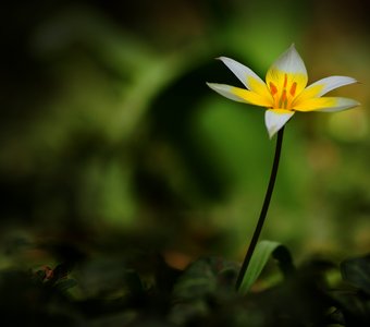 Одиночество