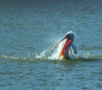 В одиночестве тоже не спокойно