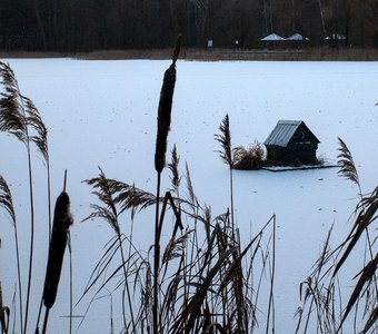 Зима в Подмосковье